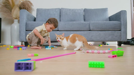 Under Couch Blocker - Velcro variation