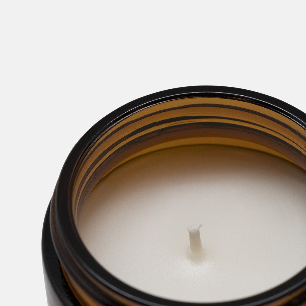 This Candle is Lit - 9oz Blackberry Vanilla scented soy wax candle - Gift for all occasions - free shipping to USA