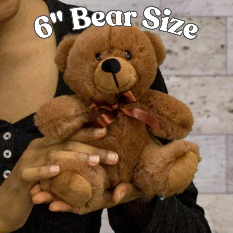 Naughty Memories Teddy Bear | Couples Teddy Bear| - free shipping to USA