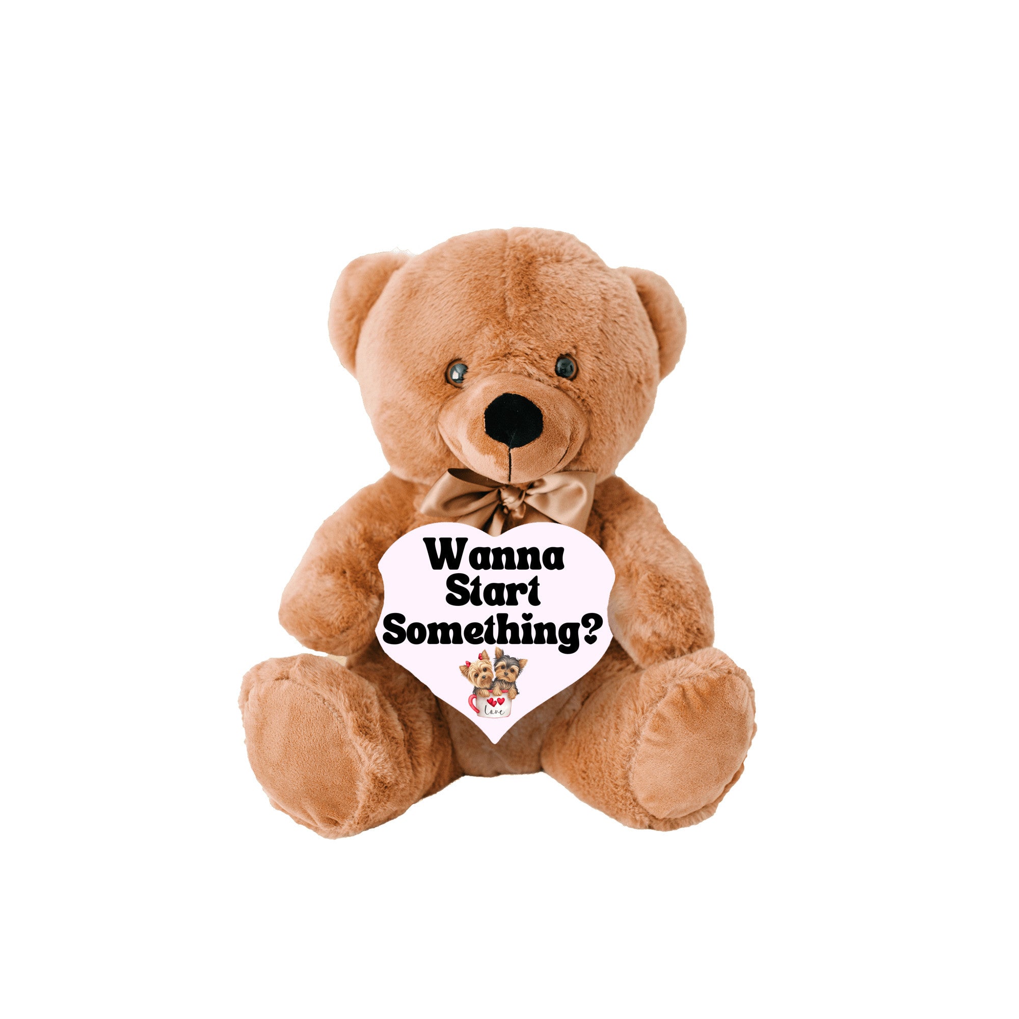 Spark of Romance Plush Teddy Bear| Wanna Start something?| Gift idea for new relationships