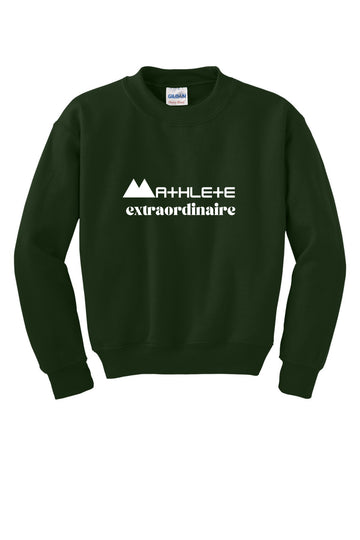 Young Genius Youth Sweatshirt| Mathlete Extraordinaire| Gildan 18000B Crewneck style| Academic kid gift- free shipping to USA